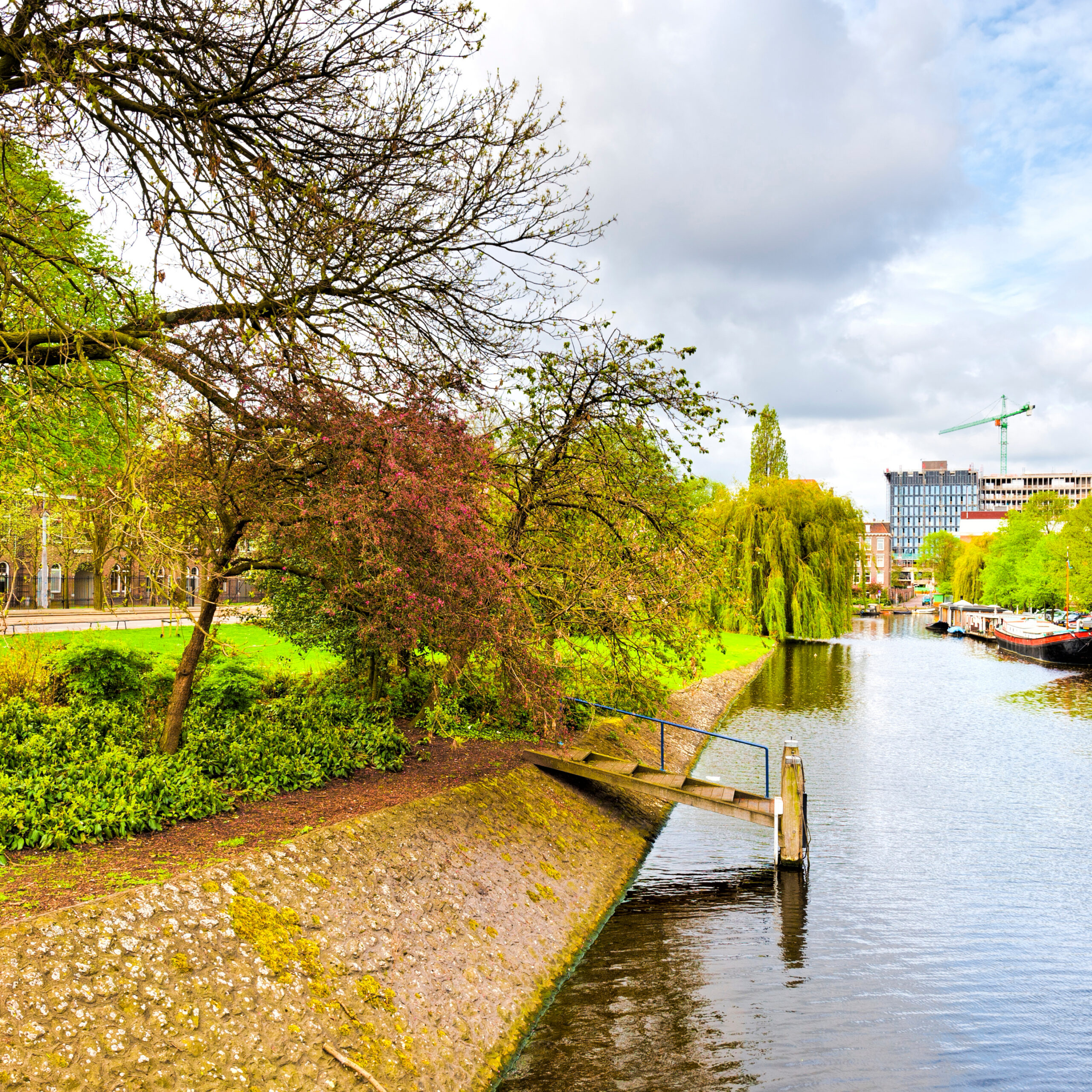 Have you ever wondered what it would be like to celebrate St. Patrick’s Day in Dublin? In 2026, the Irish capital is once again preparing for one of the most exciting celebrations of the year.