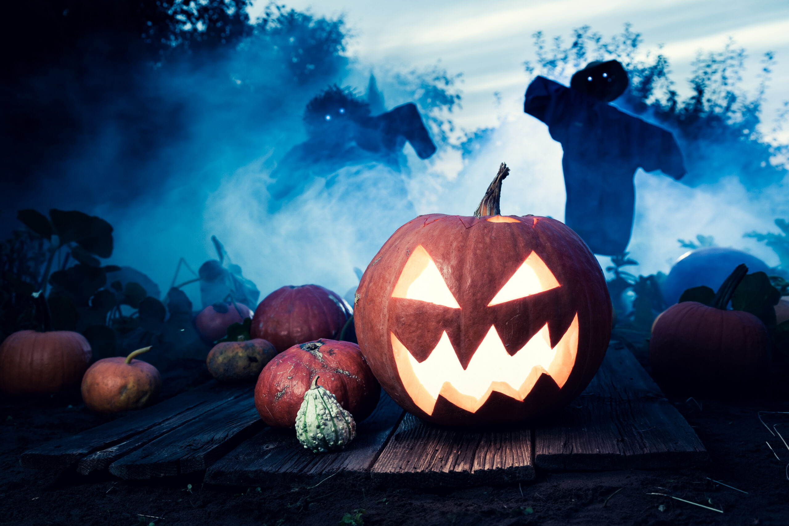 Discover the best things to do for Halloween in Dublin 2026, from the Bram Stoker Festival and haunted history to family-friendly activities, autumn walks, nightlife and Dublin’s most atmospheric attractions.